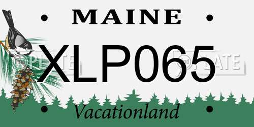 XLP065 Maine License Plate