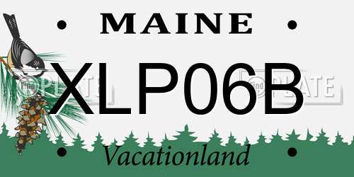 XLP06B Maine License Plate