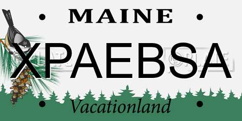 XPAEBSA Maine License Plate