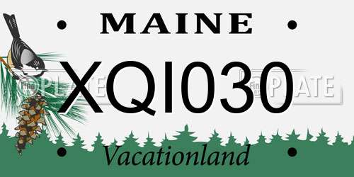 XQI030 Maine License Plate