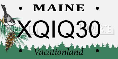 XQIQ30 Maine License Plate