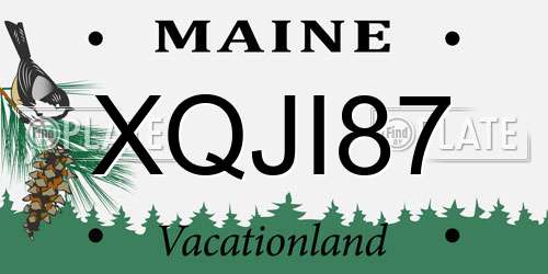 XQJI87 Maine License Plate
