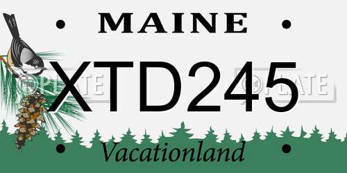 XTD245 Maine License Plate