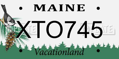 XTO745 Maine License Plate