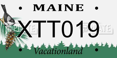 XTT019 Maine License Plate