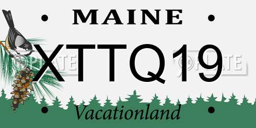 XTTQ19 Maine License Plate