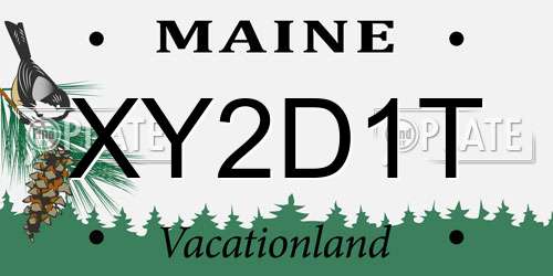 XY2D1T Maine License Plate
