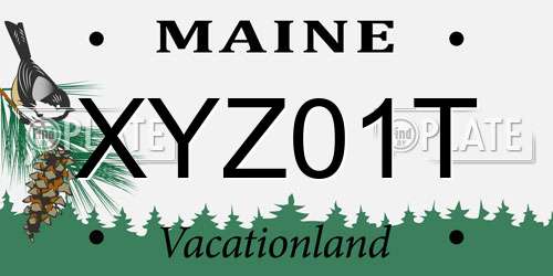 XYZ01T Maine License Plate