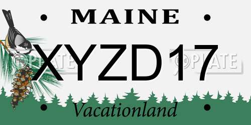 XYZD17 Maine License Plate