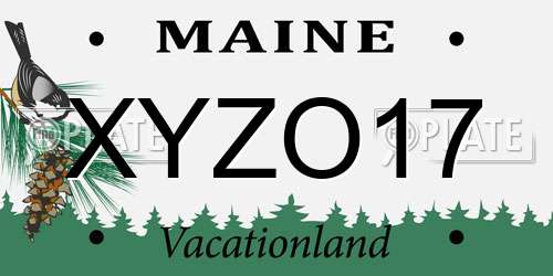XYZO17 Maine License Plate