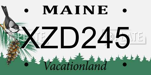 XZD245 Maine License Plate