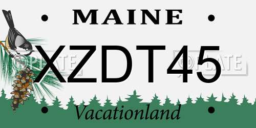 XZDT45 Maine License Plate