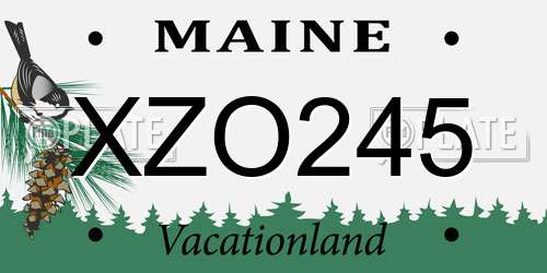 XZO245 Maine License Plate