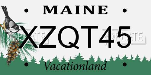 XZQT45 Maine License Plate