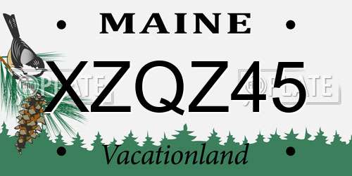 XZQZ45 Maine License Plate