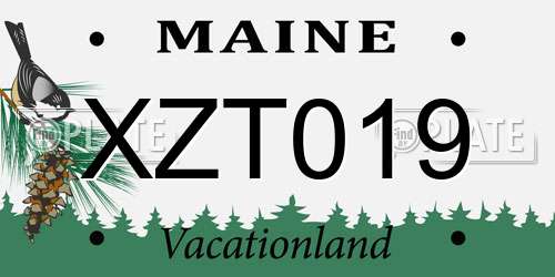 XZT019 Maine License Plate
