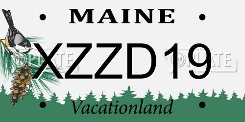 XZZD19 Maine License Plate