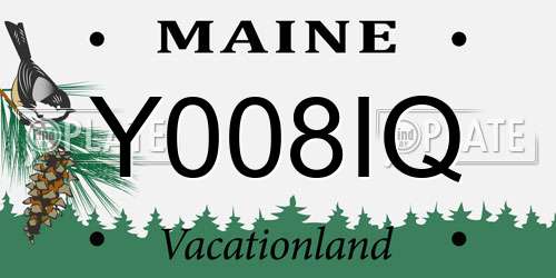 Y008IQ Maine License Plate