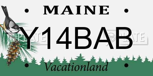 Y14BAB Maine License Plate
