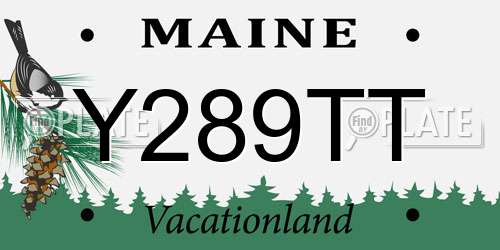 Y289TT Maine License Plate