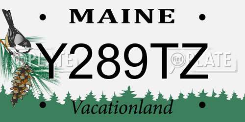 Y289TZ Maine License Plate