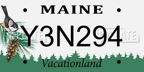 Y3N294 Maine License Plate