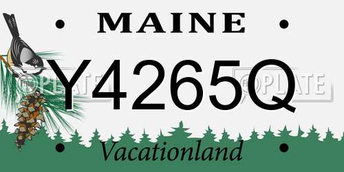 Y4265Q Maine License Plate