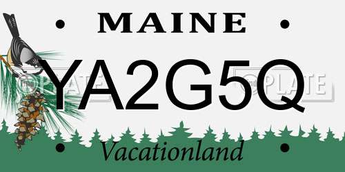 YA2G5Q Maine License Plate