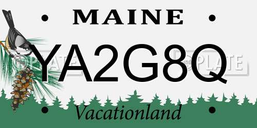YA2G8Q Maine License Plate