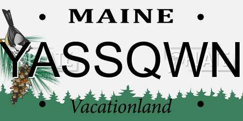 YASSQWN Maine License Plate