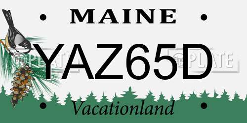 YAZ65D Maine License Plate