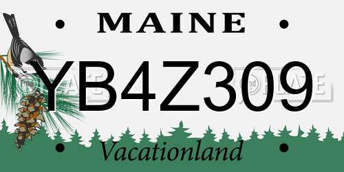 YB4Z309 Maine License Plate