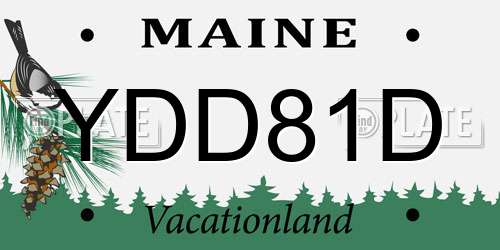 YDD81D Maine License Plate