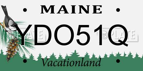 YDO51Q Maine License Plate
