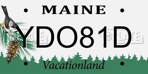 YDO81D Maine License Plate