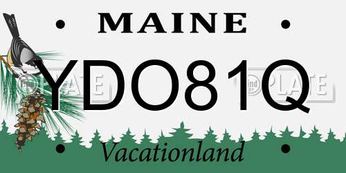 YDO81Q Maine License Plate