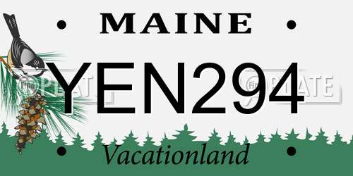 YEN294 Maine License Plate