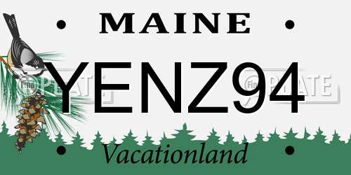 YENZ94 Maine License Plate