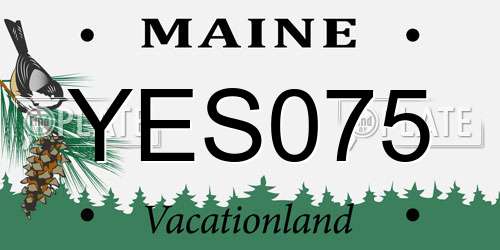YES075 Maine License Plate