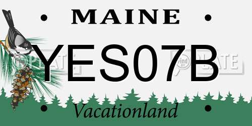 YES07B Maine License Plate