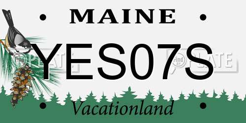 YES07S Maine License Plate