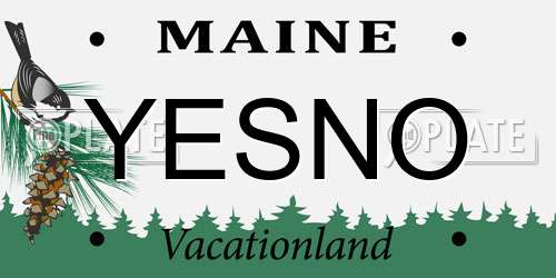 YESNO Maine License Plate