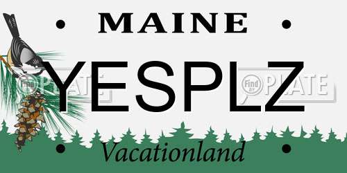 YESPLZ Maine License Plate