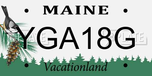YGA18G Maine License Plate
