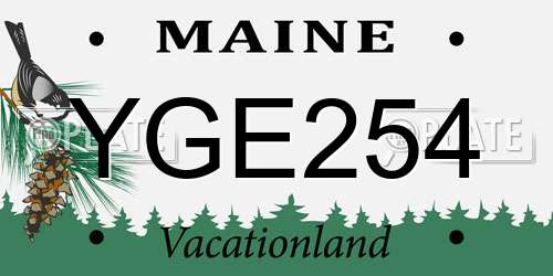 YGE254 Maine License Plate