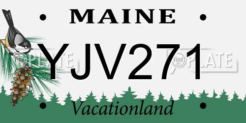 YJV271 Maine License Plate