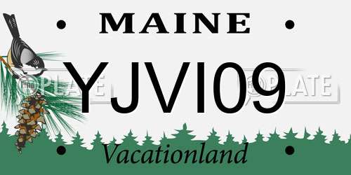 YJVI09 Maine License Plate