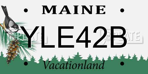 YLE42B Maine License Plate