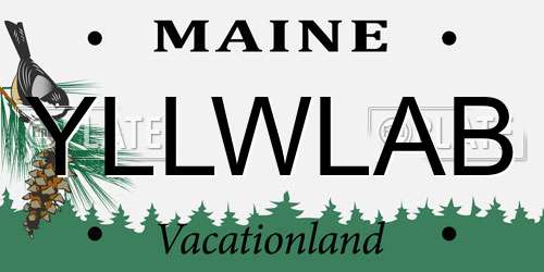 YLLWLAB Maine License Plate