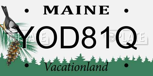 YOD81Q Maine License Plate